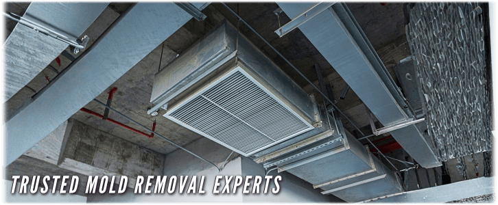 Air Duct Mold Removal in Long Island NY
