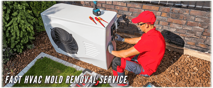 HVAC Mold Removal Long Island NY